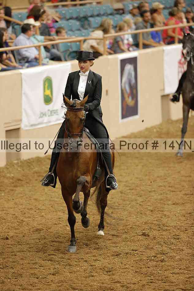 Proof 14yn_31946