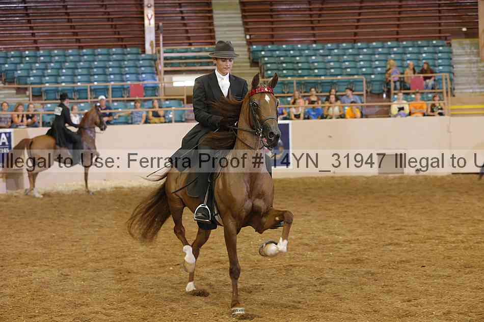 Proof 14yn_31947