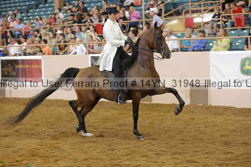 Proof 14yn_31948