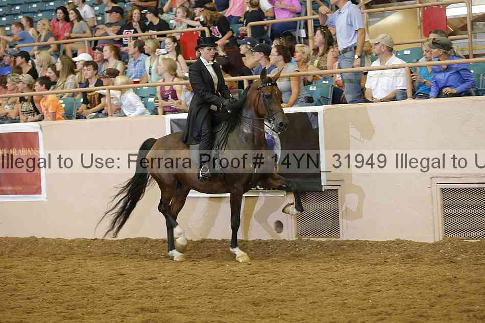 Proof 14yn_31949