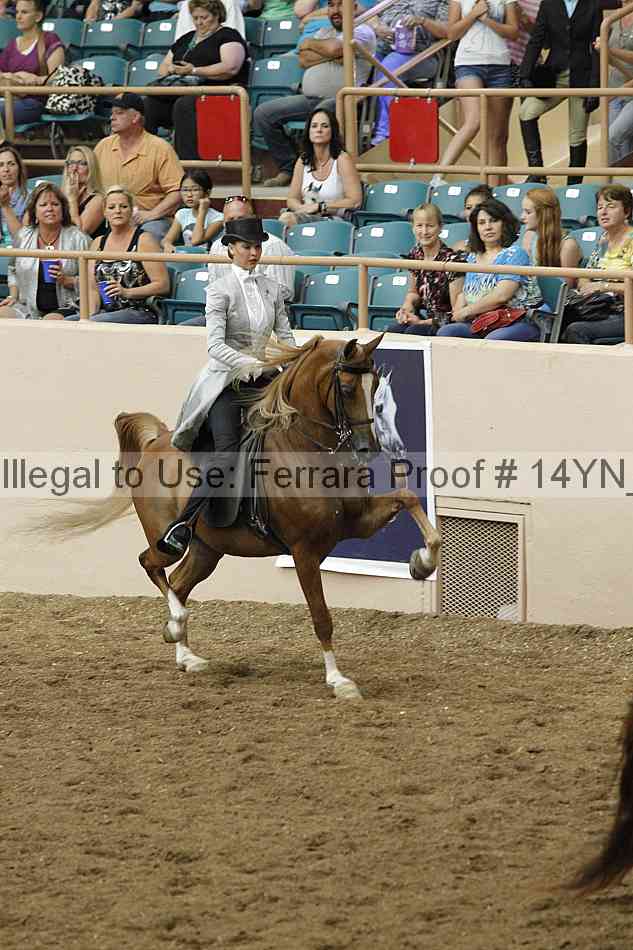 Proof 14yn_31950
