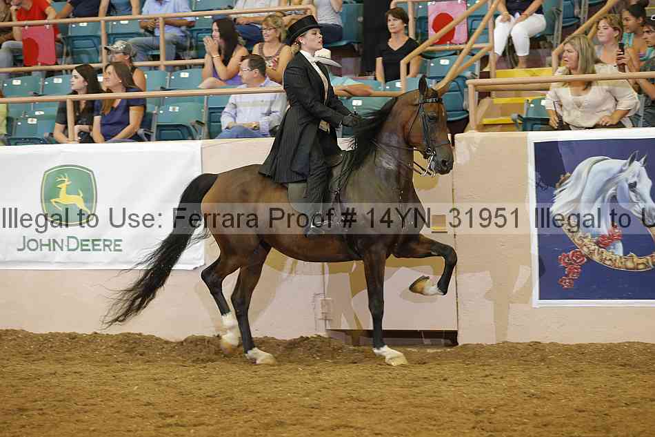 Proof 14yn_31951