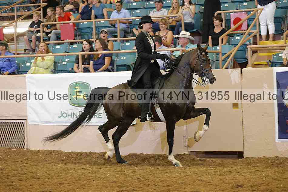 Proof 14yn_31955