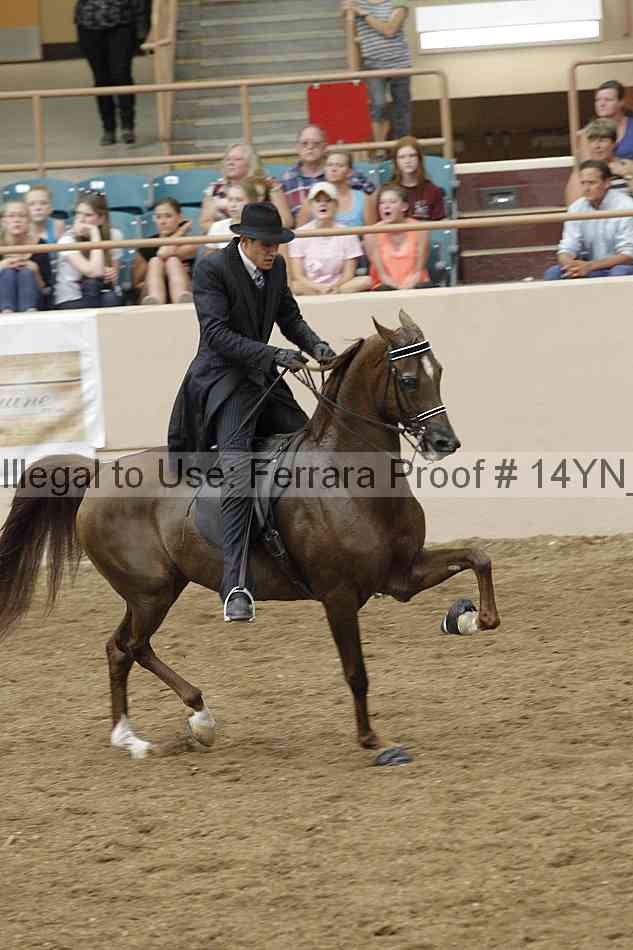 Proof 14yn_31967