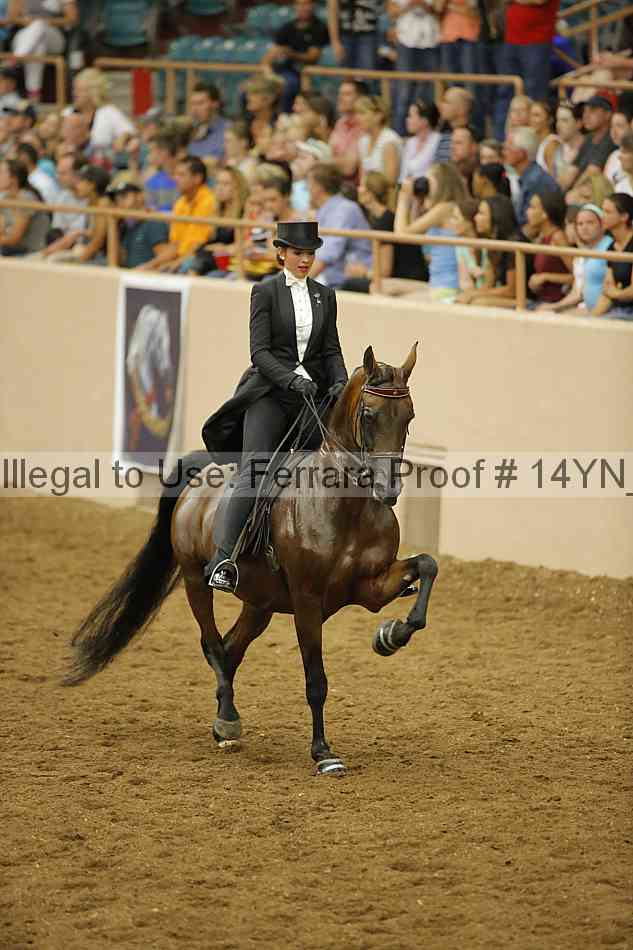 Proof 14yn_31973