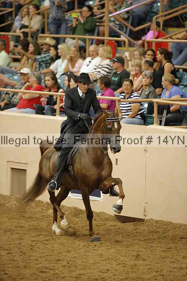 Proof 14yn_31978