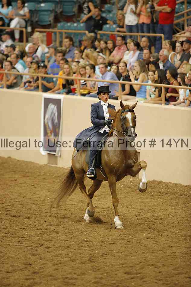Proof 14yn_31981