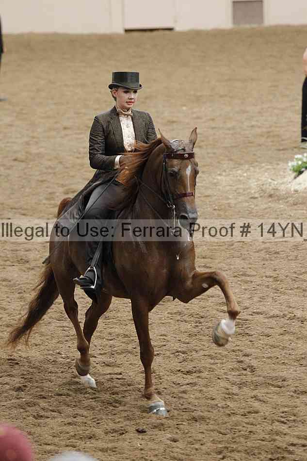 Proof 14yn_31986