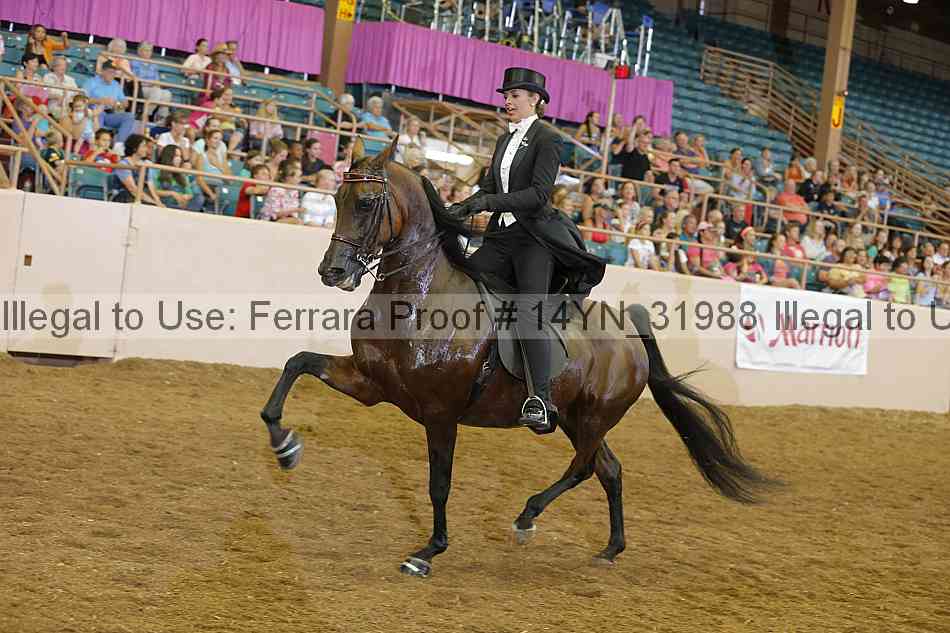 Proof 14yn_31988