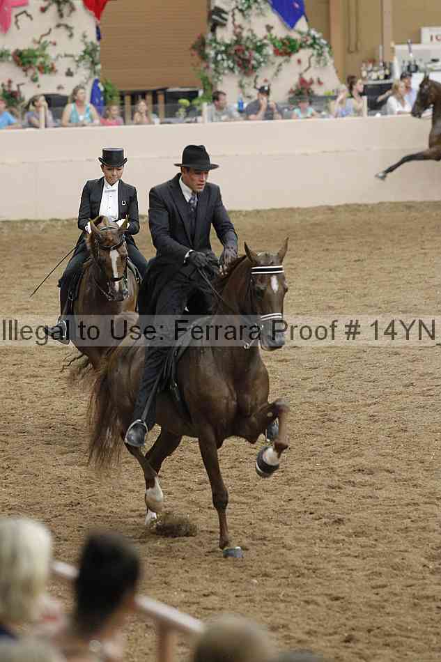 Proof 14yn_31991