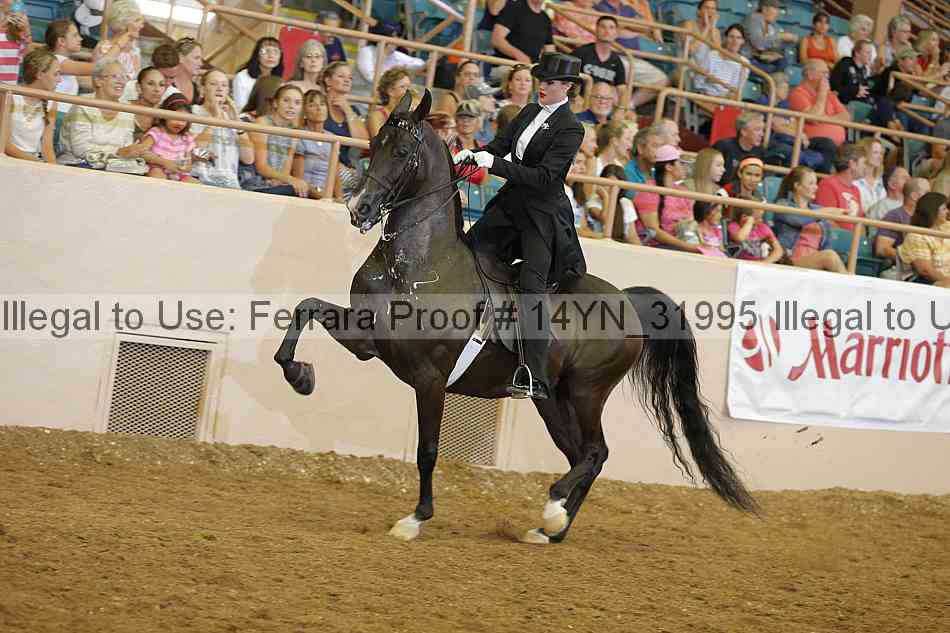 Proof 14yn_31995