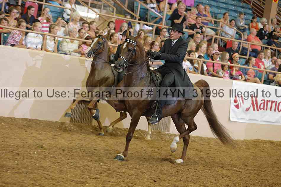 Proof 14yn_31996