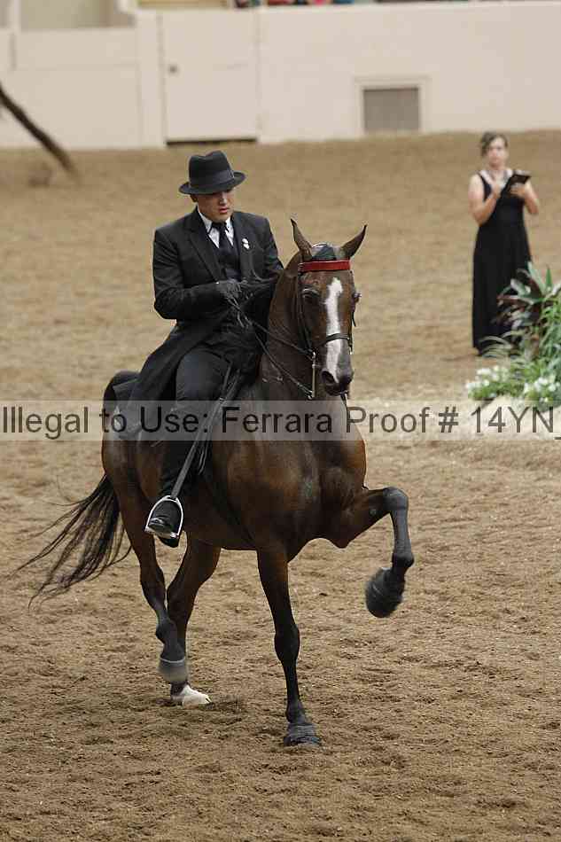 Proof 14yn_31997