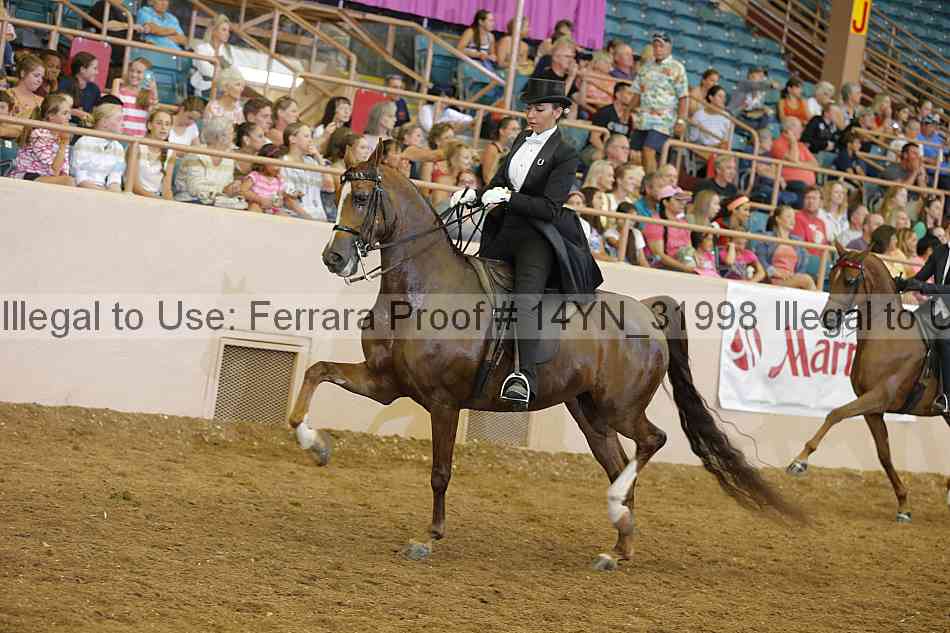 Proof 14yn_31998
