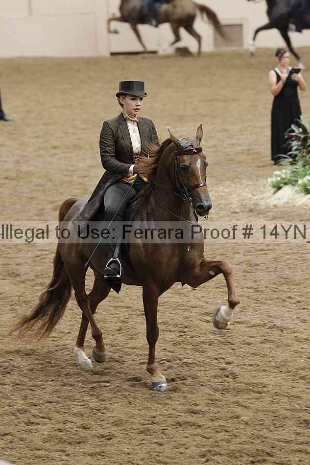 Proof 14yn_32004