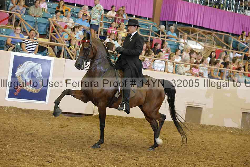 Proof 14yn_32005