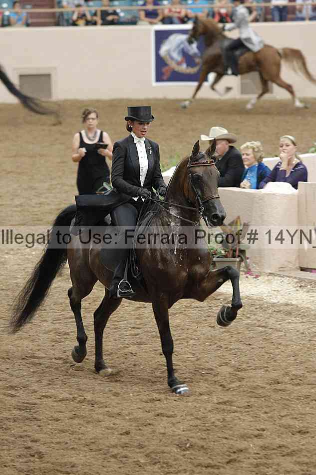 Proof 14yn_32006