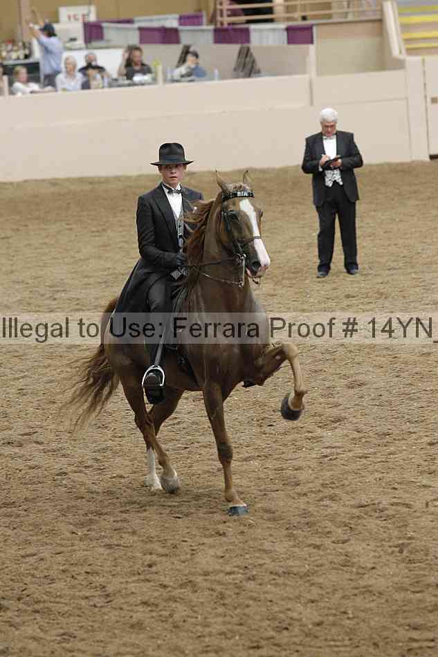 Proof 14yn_32008