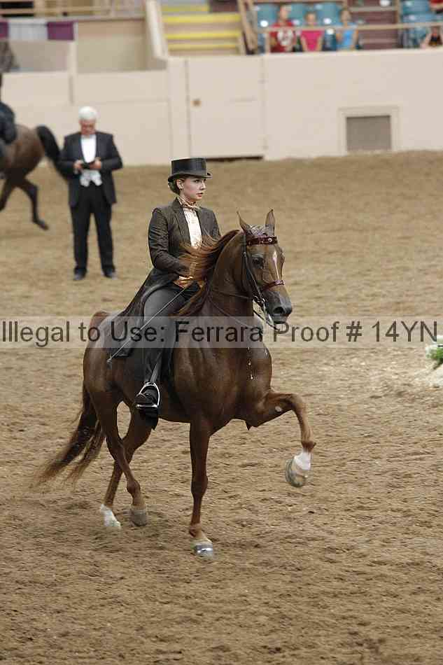 Proof 14yn_32009