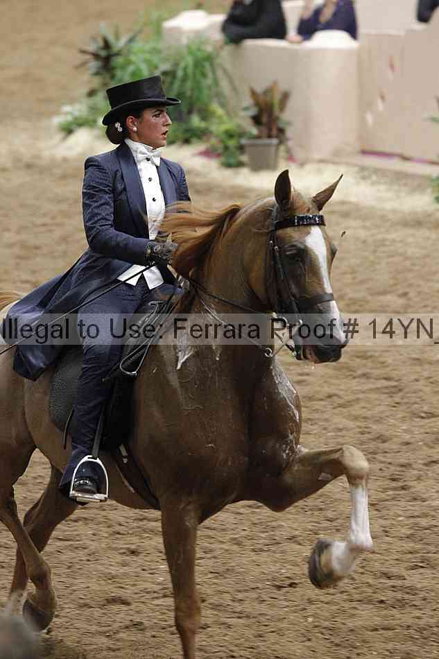 Proof 14yn_32010