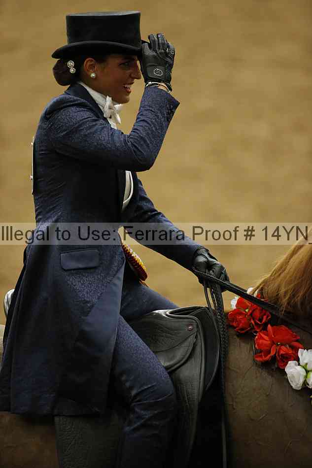 Proof 14yn_32063