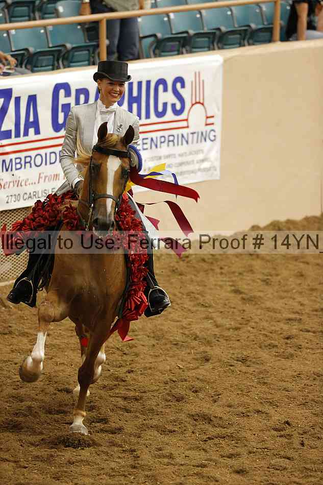 Proof 14yn_32159