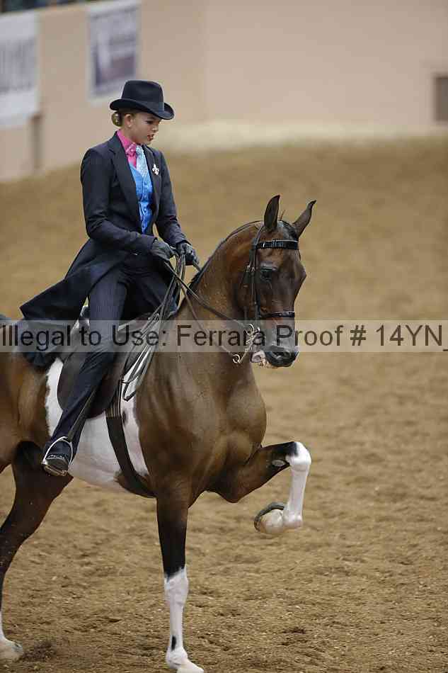Proof 14yn_19624