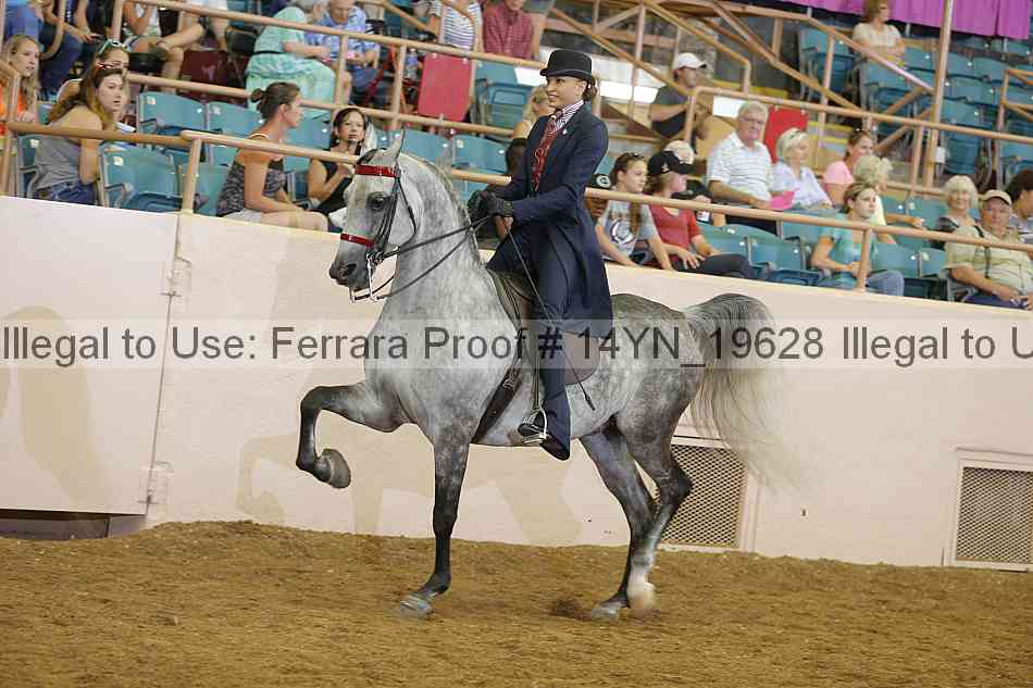 Proof 14yn_19628