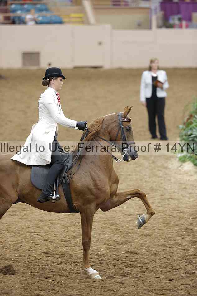 Proof 14yn_19631