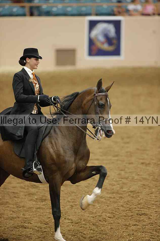 Proof 14yn_19636