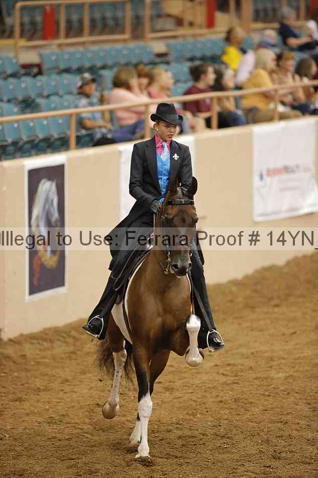 Proof 14yn_19637