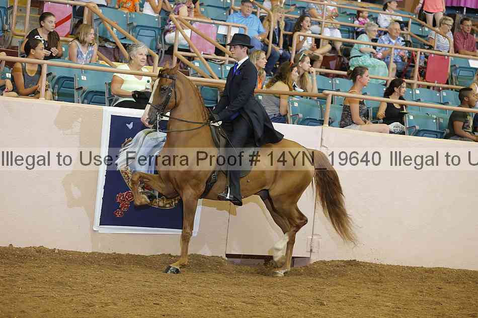 Proof 14yn_19640