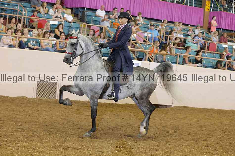 Proof 14yn_19645