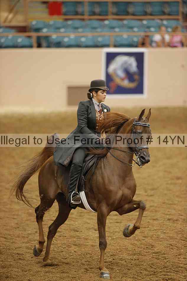 Proof 14yn_19658