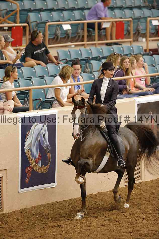 Proof 14yn_19723