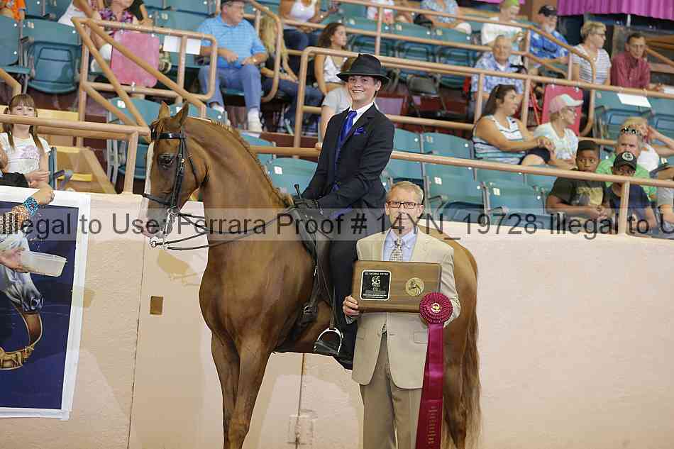 Proof 14yn_19728