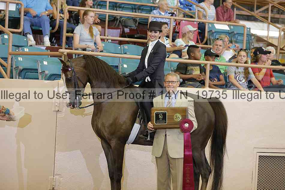 Proof 14yn_19735