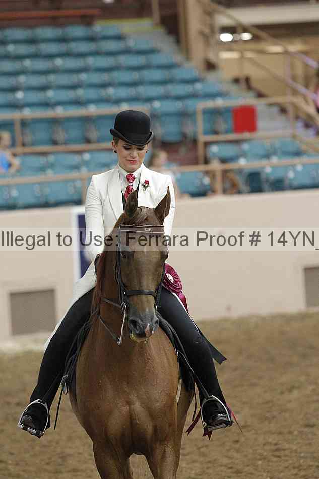 Proof 14yn_19741
