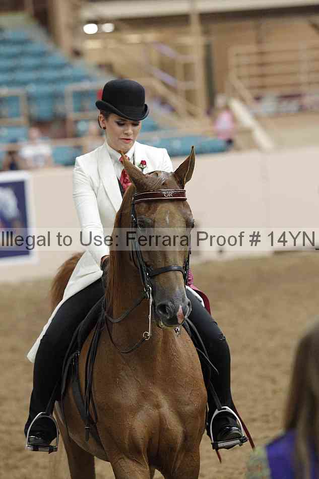 Proof 14yn_19744
