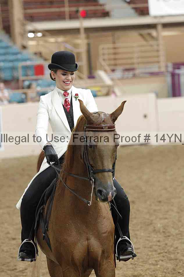 Proof 14yn_19747
