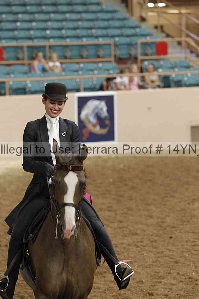 Proof 14yn_19779