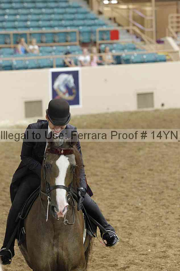 Proof 14yn_19780