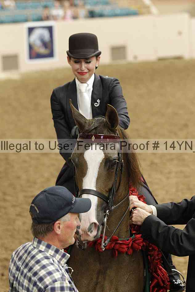 Proof 14yn_19792
