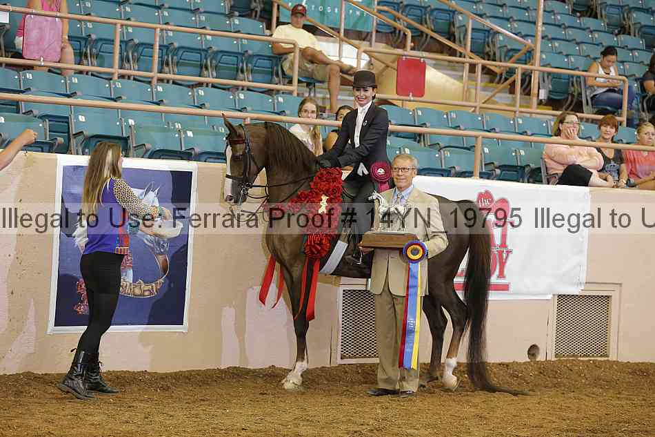 Proof 14yn_19795