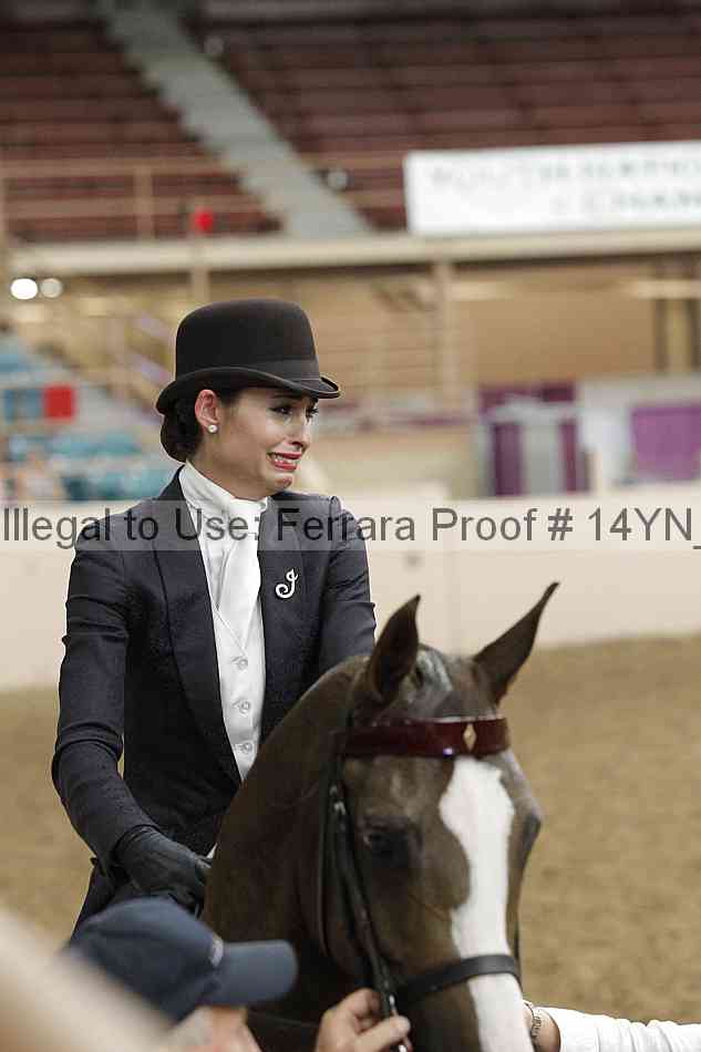 Proof 14yn_19799