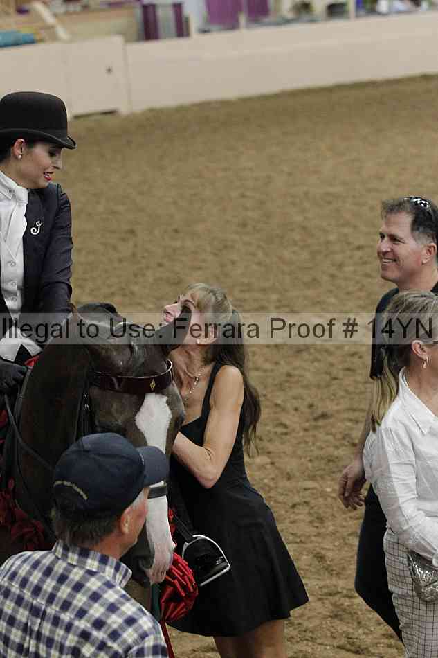 Proof 14yn_19802