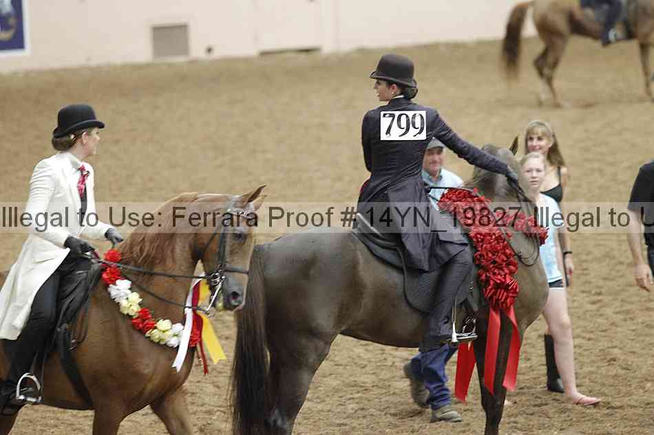 Proof 14yn_19827