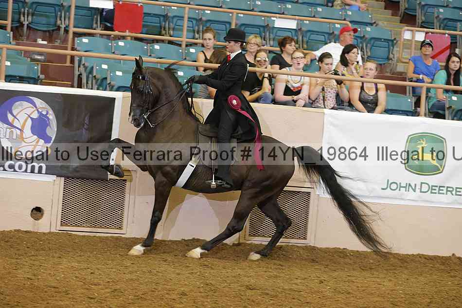 Proof 14yn_19864