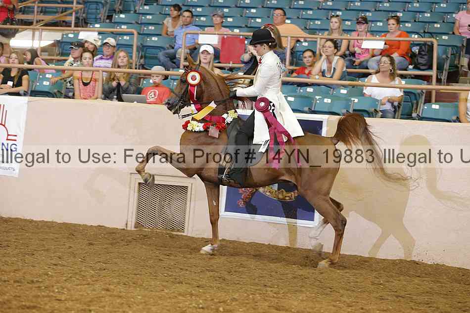 Proof 14yn_19883