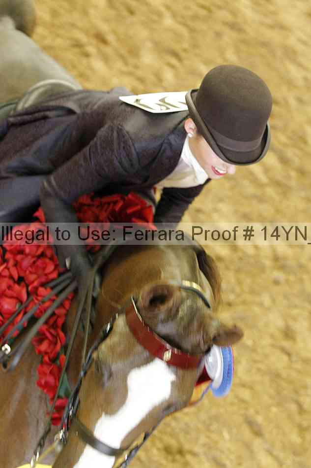 Proof 14yn_19904